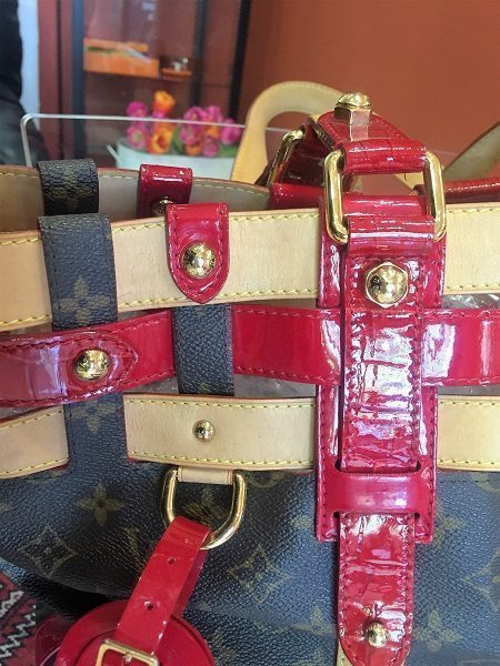 Louis Vuitton Limited Edition Monogram Canvas Rubis Salina Gm in Red